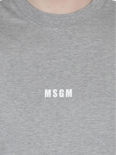 Shop Msgm Cotton T-shirt In Grey