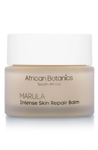 Shop African Botanics Marula Intense Skin Repair Balm
