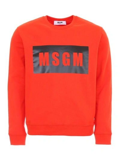 Shop Msgm Logo Sweatshirt In Rosso