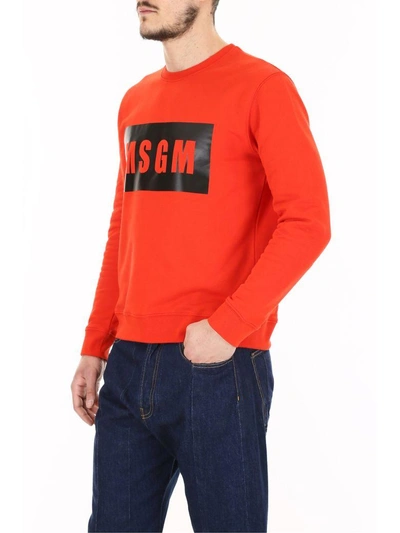 Shop Msgm Logo Sweatshirt In Rosso