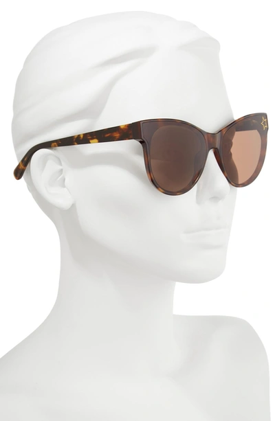 Shop Stella Mccartney 61mm Cat Eye Sunglasses - Blonde Avana