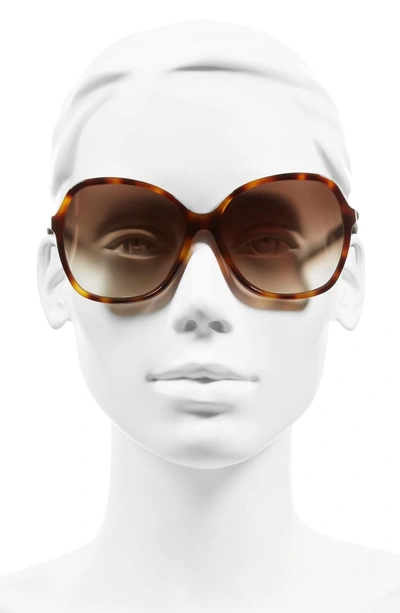 Shop Kate Spade Jolyn 58mm Sunglasses - Dark Havana/ Gold