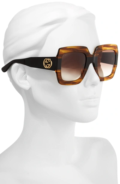 Shop Gucci 54mm Square Sunglasses In Havana