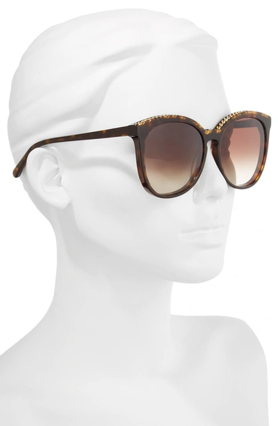 Shop Stella Mccartney 59mm Cat Eye Sunglasses In Avana
