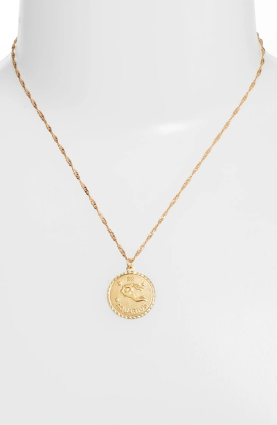 Shop Cam Ascending Zodiac Medallion Necklace In Aquarius