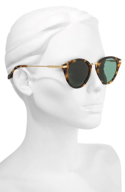 Shop Sonix Quinn 48mm Cat Eye Sunglasses - Brown Tortoise/ Olive