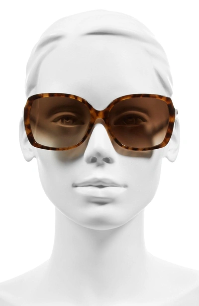 Shop Kate Spade 'darrilyn' 58mm Butterfly Sunglasses In Yellow/ Havana/ Beige