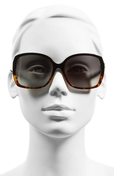 Shop Kate Spade 'darrilyn' 58mm Butterfly Sunglasses - Black/ Tortoise Fade