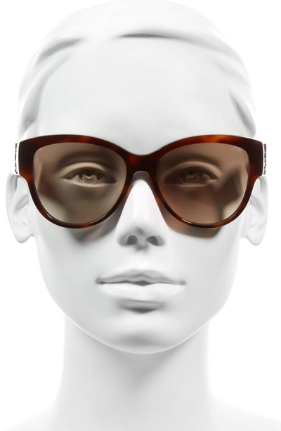 Shop Saint Laurent 55mm Cat Eye Sunglasses In Havana