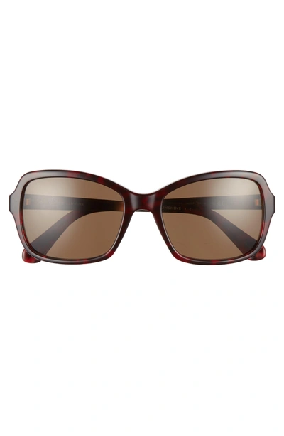Shop Kate Spade Annjanette 55mm Polarized Sunglasses - Havana Red