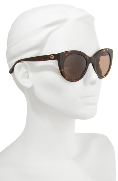 Shop Tory Burch 51mm Cat Eye Sunglasses - Tortoise/ Gold