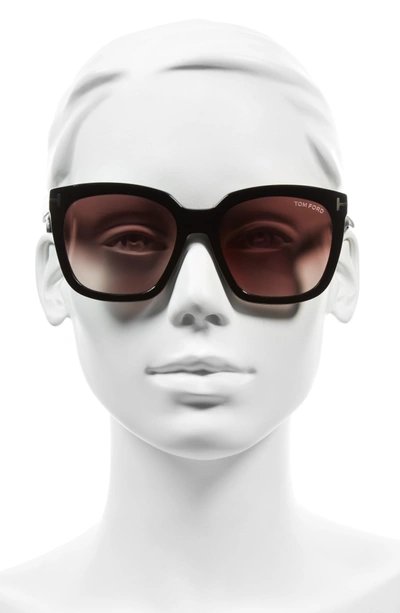 Shop Tom Ford Amarra 55mm Gradient Lens Square Sunglasses In Black/ Gradient Burgundy