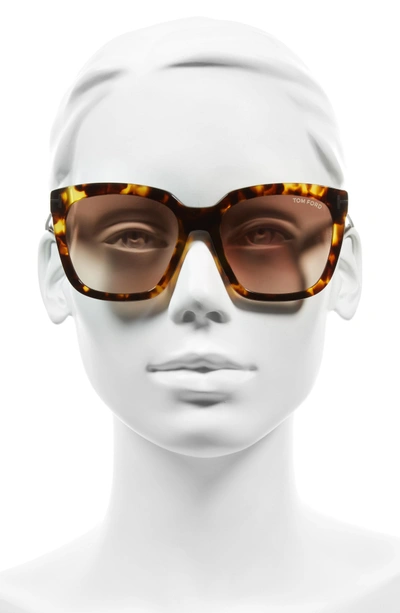 Shop Tom Ford Amarra 55mm Gradient Lens Square Sunglasses - Havana/ Gradient Brown