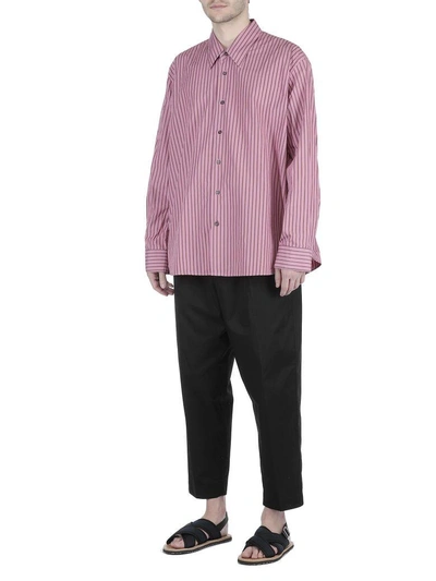 Shop Marni Cotton Shirt In 003f Pink Stripes