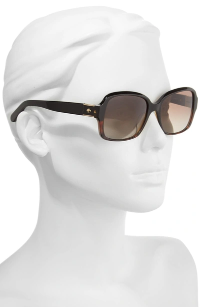 Shop Kate Spade Annor 54mm Polarized Sunglasses - Black Havana