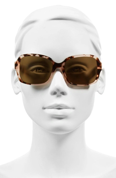 Shop Kate Spade Annor 54mm Polarized Sunglasses - Pink/ Havana