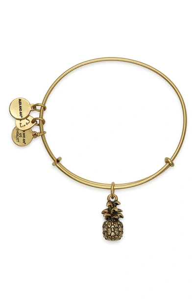 Shop Alex And Ani Pineapple Adjustable Wire Bangle In Russian Gold