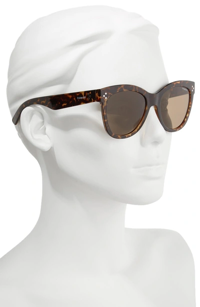 Shop Polaroid 54mm Polarized Sunglasses - Havana