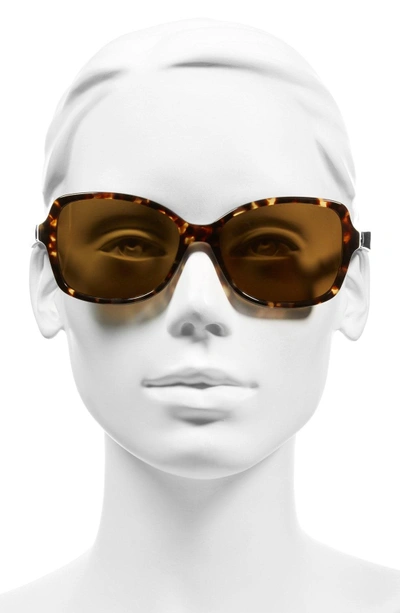 Kate Spade 'ayleen' 56mm Polarized Sunglasses - Havana/ Multi Pattern In  Havana/brown Polarized | ModeSens