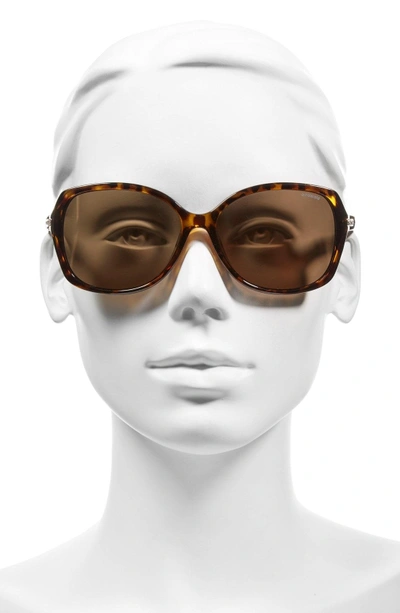 Shop Polaroid 58mm Polarized Sunglasses - Havana/ Brown Polarized