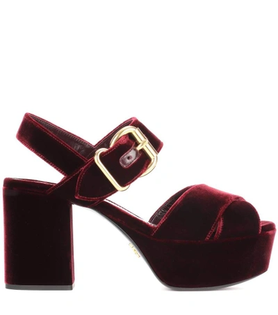 Shop Prada Velvet Platform Sandals In Lordeaux