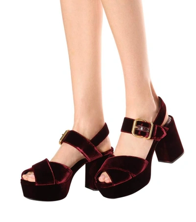 Shop Prada Velvet Platform Sandals In Lordeaux