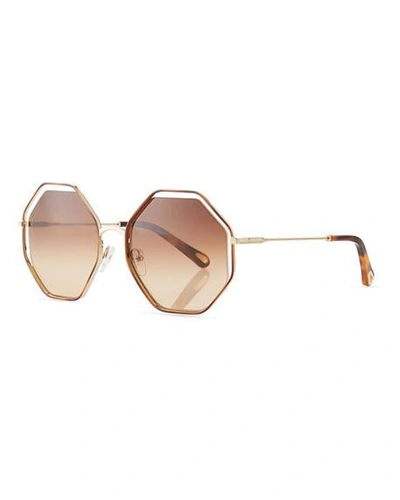 Shop Chloé Poppy Geometric Sunglasses In Havana Brown