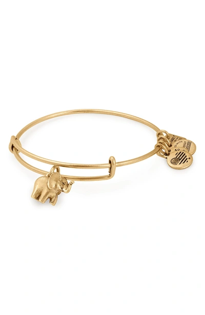 Shop Alex And Ani Charity By Design Elephant Ii Adjustable Bangle In Gold