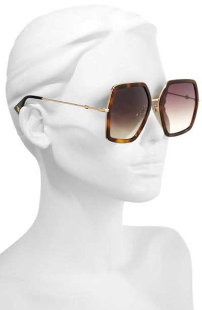 Shop Gucci 56mm Sunglasses - Havana/ Brown