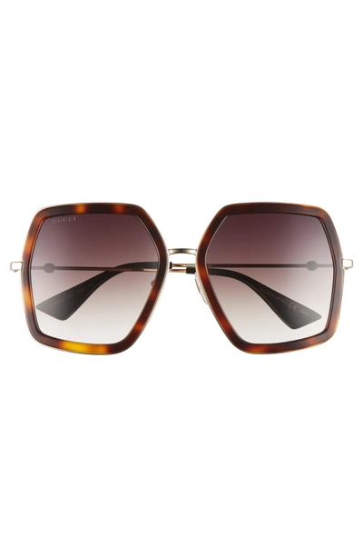 Shop Gucci 56mm Sunglasses - Havana/ Brown