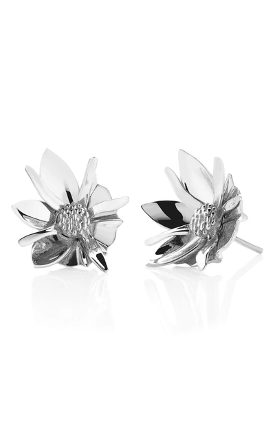 Shop Meadowlark Small Wildflower Stud Earrings In Silver