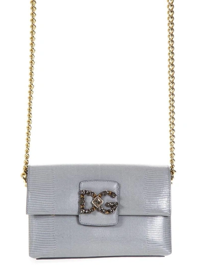 Shop Dolce & Gabbana Dg Millennials Bag In Leather In Grey
