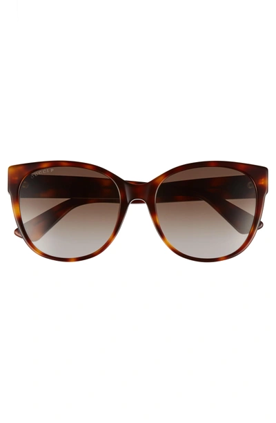 Shop Gucci 56mm Polarized Cat Eye Sunglasses In Havana/ Brown