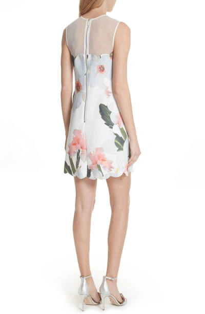 Ted baker top caprila dress