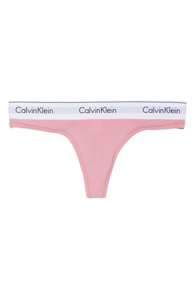 Shop Calvin Klein Logo Thong In Penelope