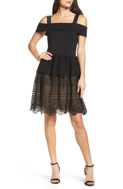 Shop French Connection Amelia Lace A-line Dress In Black