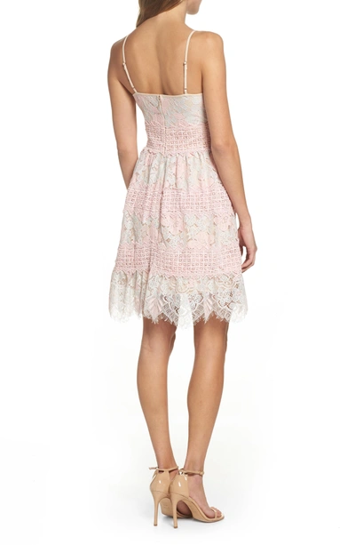 Foxiedox Tabitha Lace Minidress In Aquarose