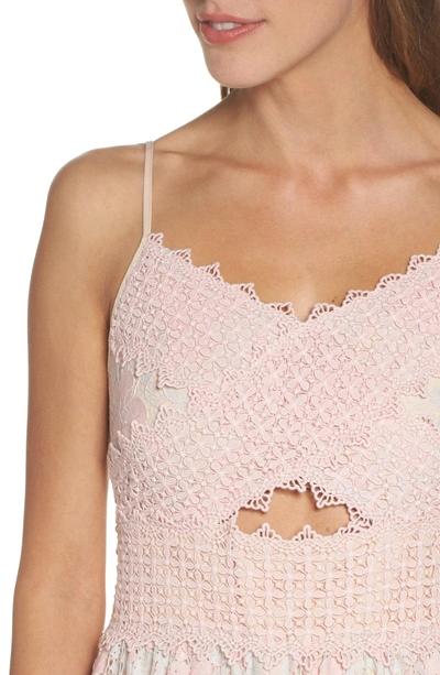 Foxiedox Tabitha Lace Minidress In Aquarose