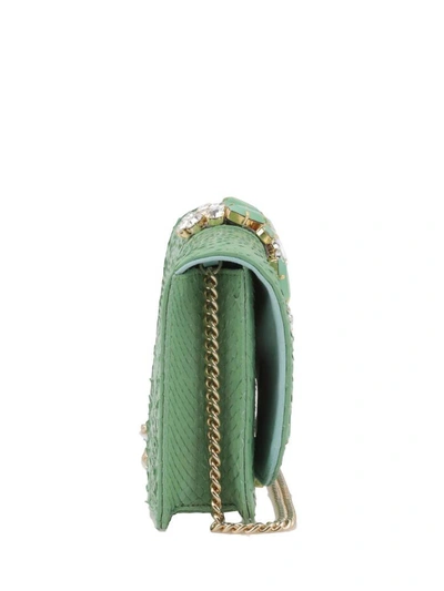 Gedebe Cliky Python In Green