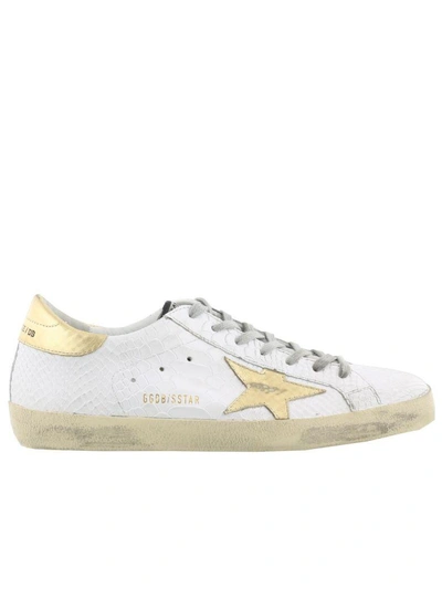 Shop Golden Goose Superstar Sneaker In White Printed Snake-gold Star