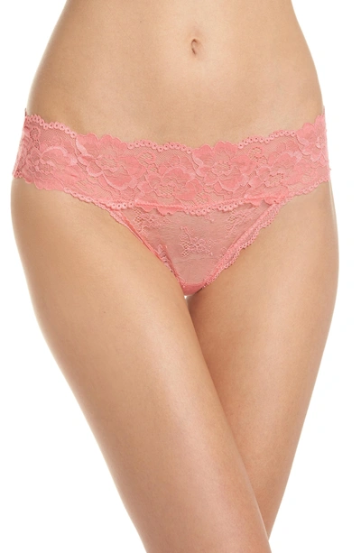 Shop Honeydew Intimates Honeydew Lace Thong In Valley Girl