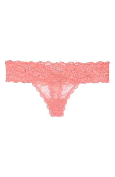 Shop Honeydew Intimates Honeydew Lace Thong In Valley Girl