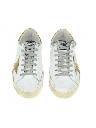 Shop Golden Goose Sneakers Superstar In White Leather And Golden Star