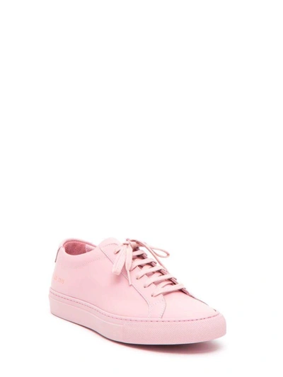Shop Common Projects Original Achilles Low Sneakers In Rosa