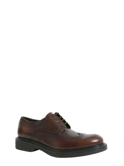 Shop Ferragamo Donegal Lace Up Shoes In Marrone