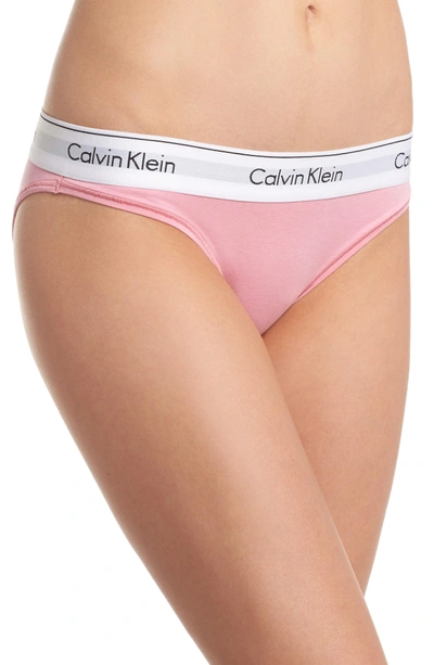 Shop Calvin Klein 'modern Cotton Collection' Cotton Blend Bikini In Penelope