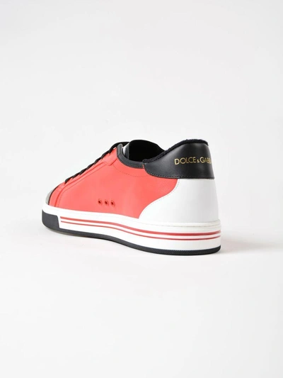 Shop Dolce & Gabbana Roma Sneakers In Hrired