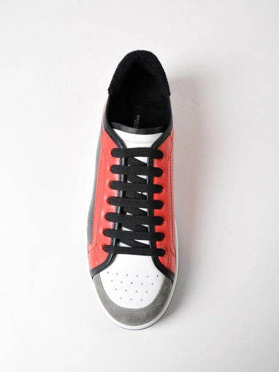 Shop Dolce & Gabbana Roma Sneakers In Hrired