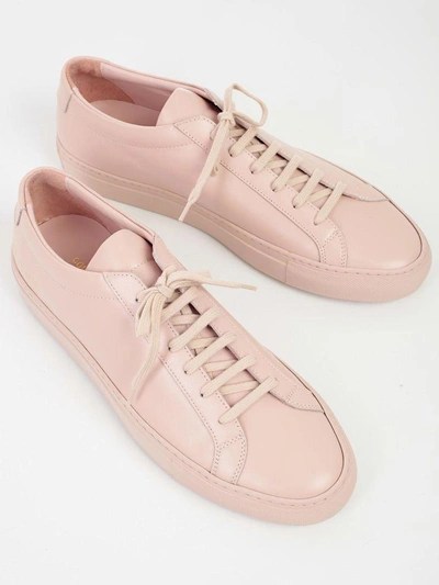 Shop Common Projects Sneakers In Blusch