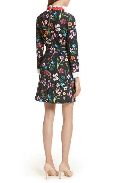 Ted baker tillena 2025 hampton collar dress